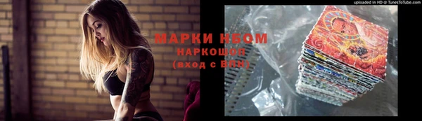 ГАЛЛЮЦИНОГЕННЫЕ ГРИБЫ Алзамай