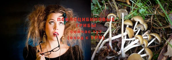 ГАЛЛЮЦИНОГЕННЫЕ ГРИБЫ Алзамай