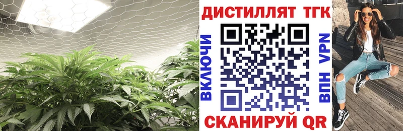 Дистиллят ТГК вейп  сколько стоит  Оленегорск 