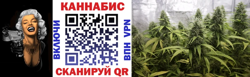 МАРИХУАНА ГИДРОПОН  где можно купить   Оленегорск 